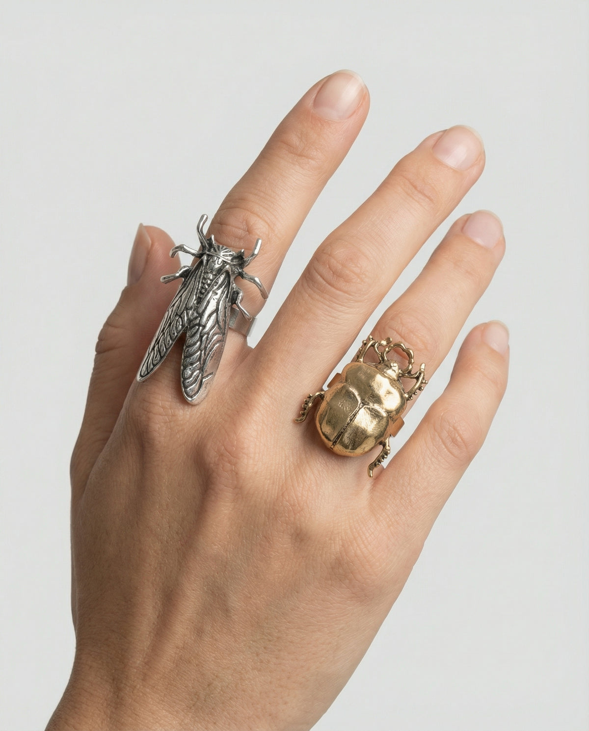 Scrab and Cicada